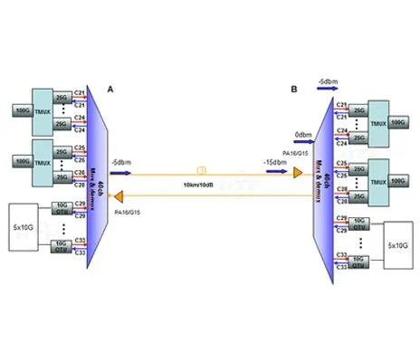 Koj Puas Tau Siv Nyiaj Siv Nyiaj Kom Tsim Nyog Rau 100G 10KM?